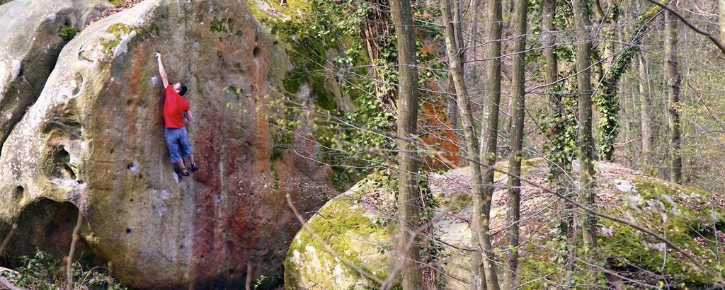 Fontainebleau Sweet Home المظهر الخارجي الصورة